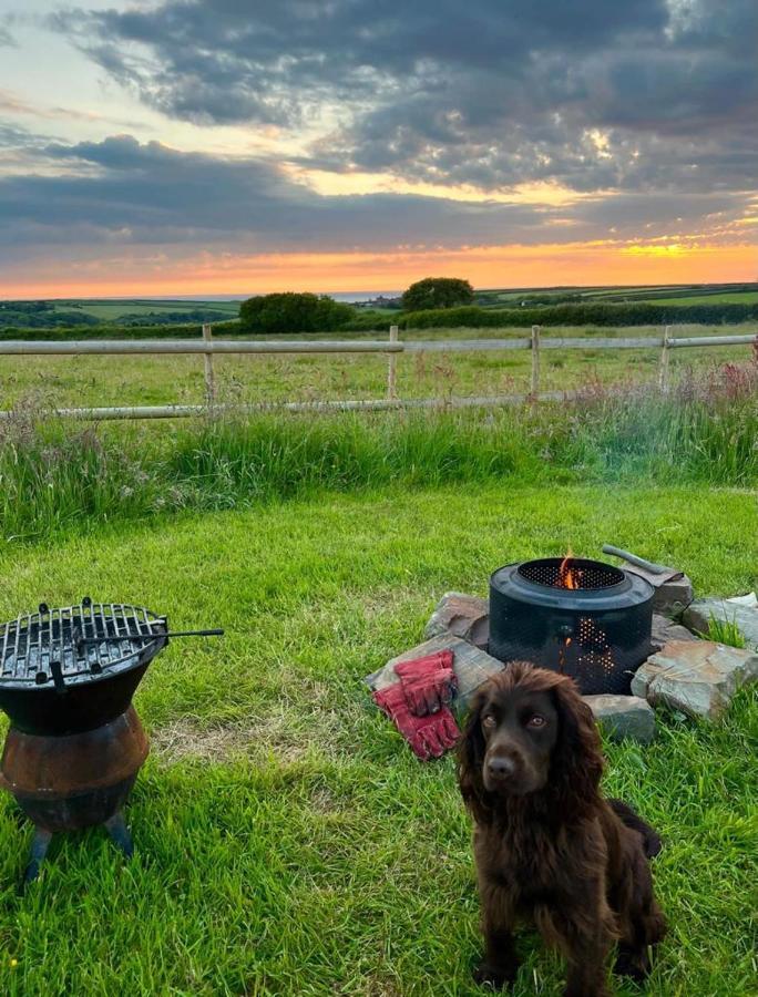 Shepherds Hut In A Private Meadow With Sea Views Hartland Eksteriør billede